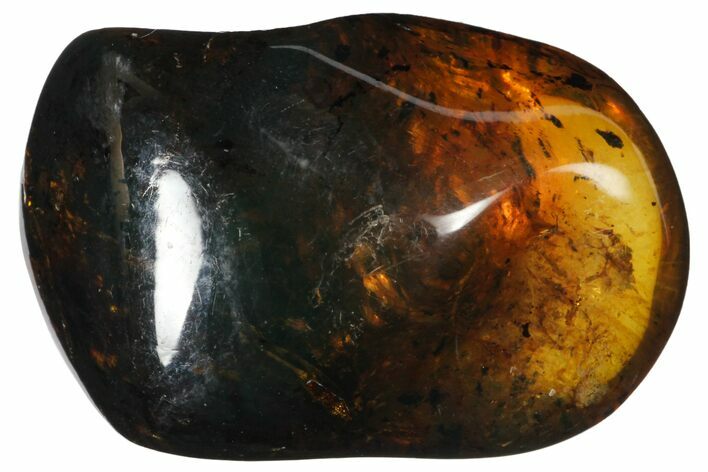 Polished Chiapas Amber ( g) - Mexico #114886